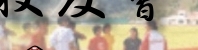 d.jpg